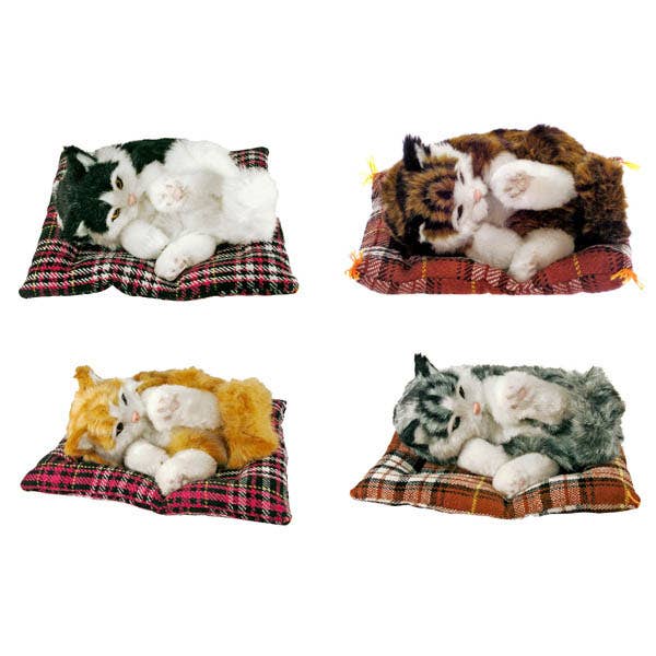 Gatos Jugando en Cojin Medianos pour la vente par JUMI