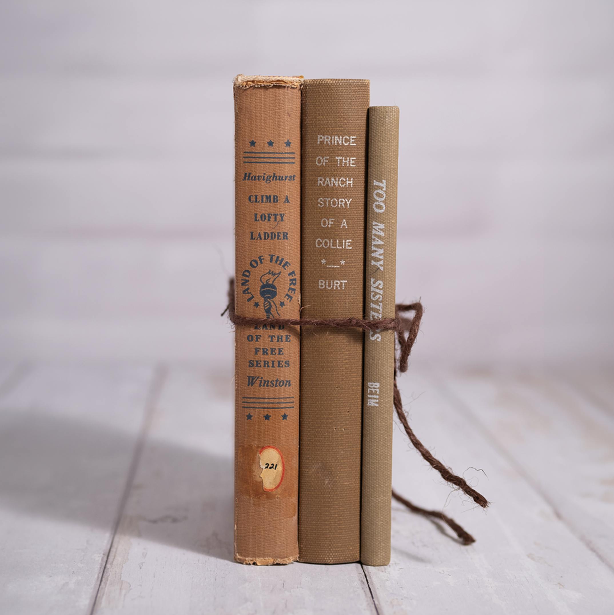 Made Market Co. - Wholesale Decorative Tabletop Object - Decorative Vintage Books Decor - Neutrals  Set of 35