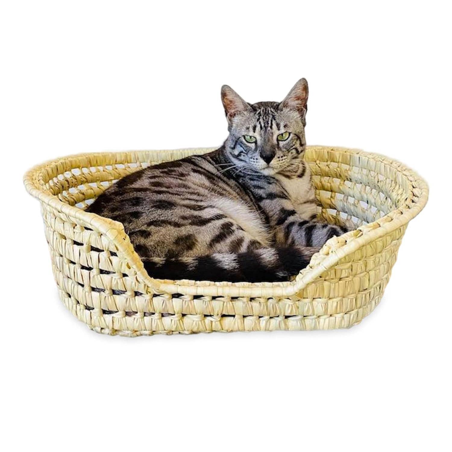 NomadWeave Ltd - Wholesale Pet Bed - Cat/Dog - Wicker Cat Bed - Bed for kitten and puppies5