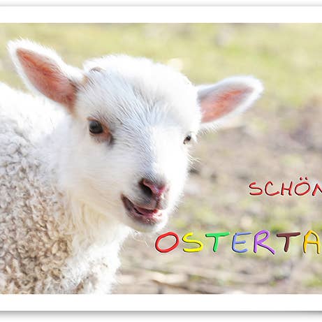 Pasqua/Biglietto d'auguri/249002 per la vendita all'ingrosso da parte di Yabué