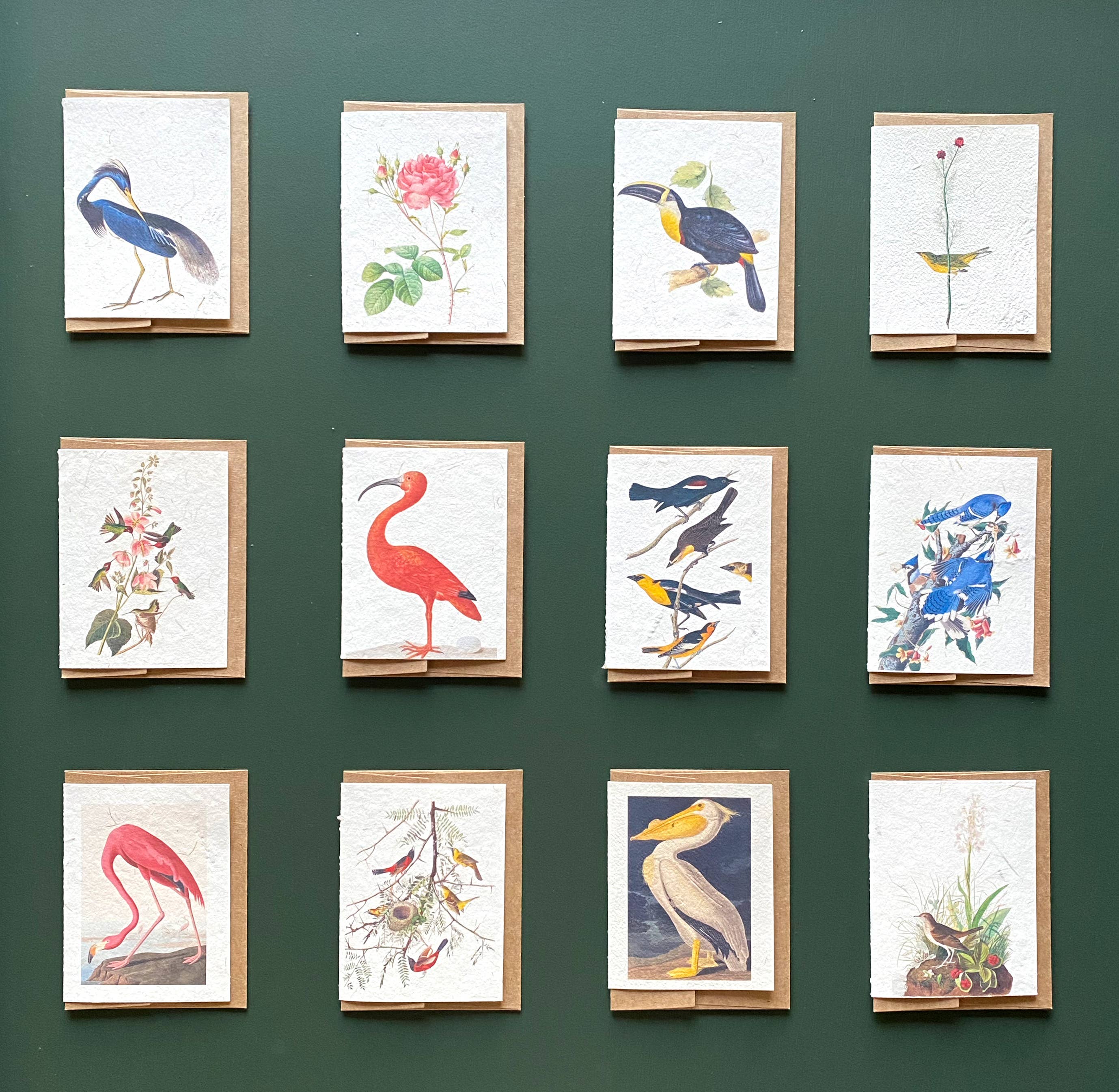 Bat Flower Press - Wholesale Everyday Greeting Card - Columbian Hummingbirds handmade card2