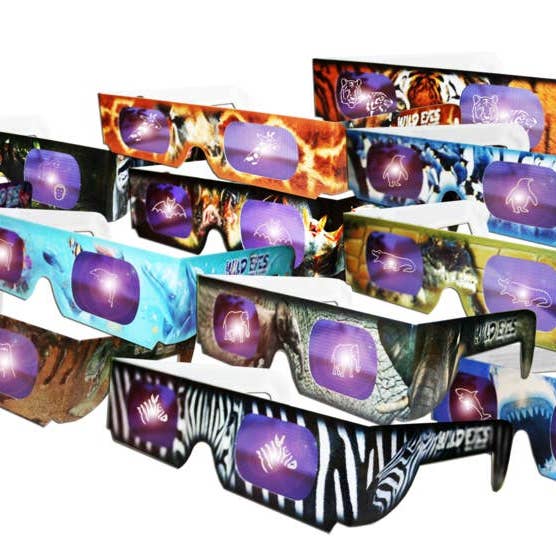 Mix of Wild Eyes Glasses - 25 Pack for wholesale by American Paper Optics, LLC