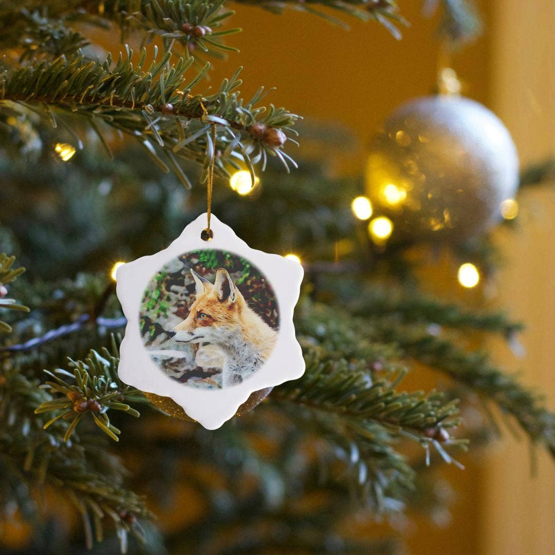 3dRose - Wholesale Ornament - 3dRose, Cute Fox Watercolor Illustration, Ornament6