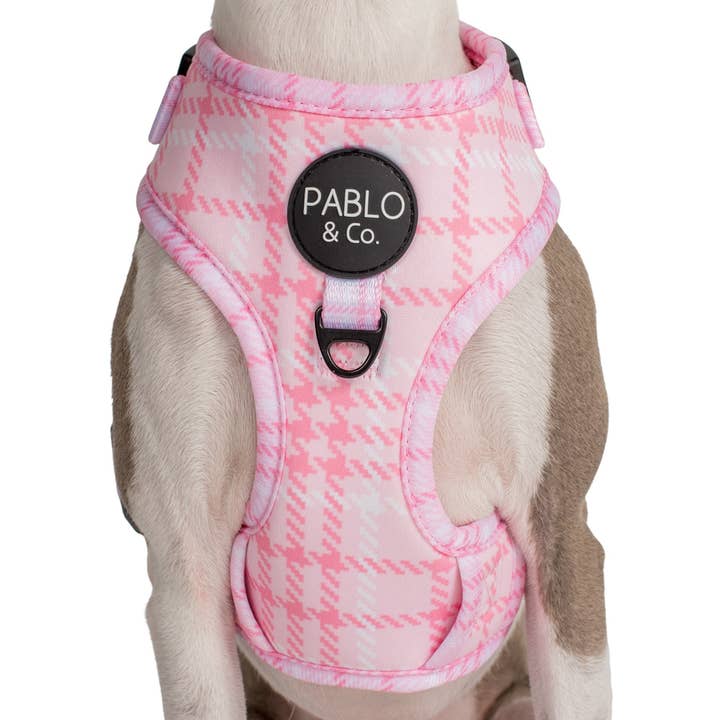 Pablo & Co. Boutique – wholesale Sele - Hund – Justerbart hundsele i rosa hundtand4