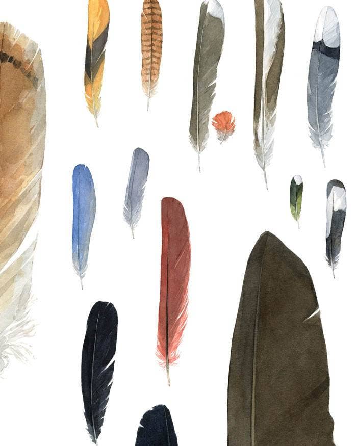 Studio Tuesday - Wholesale Art Print - Feather Watercolor Print4