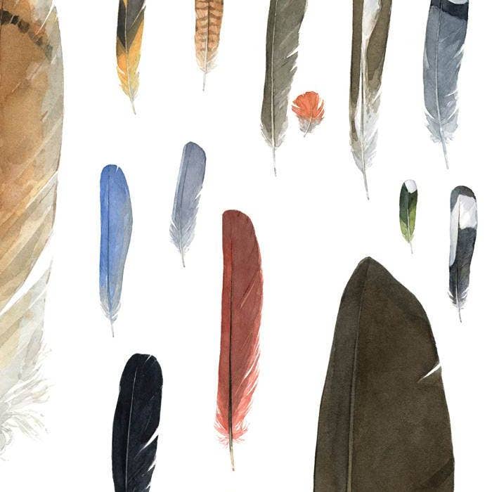 Studio Tuesday - Wholesale Art Print - Feather Watercolor Print4
