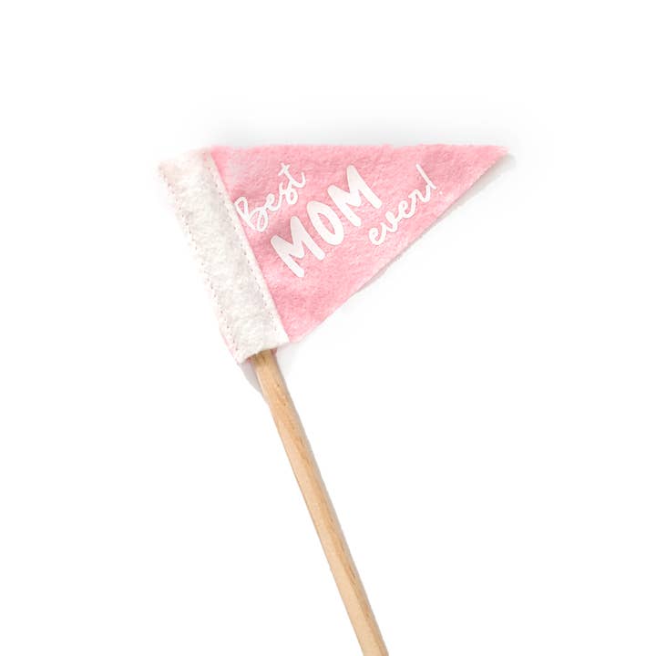 Pennant For Your Thoughts - Wholesale Flag - Mother's Day Tiny Flag Pennant | Wool Blend, Handmade in USA21