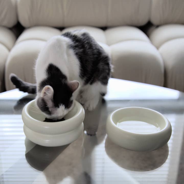 Catenary Home - Wholesale Pet Bowl - Cat/Dog - Elevated Halo Pet Bowl