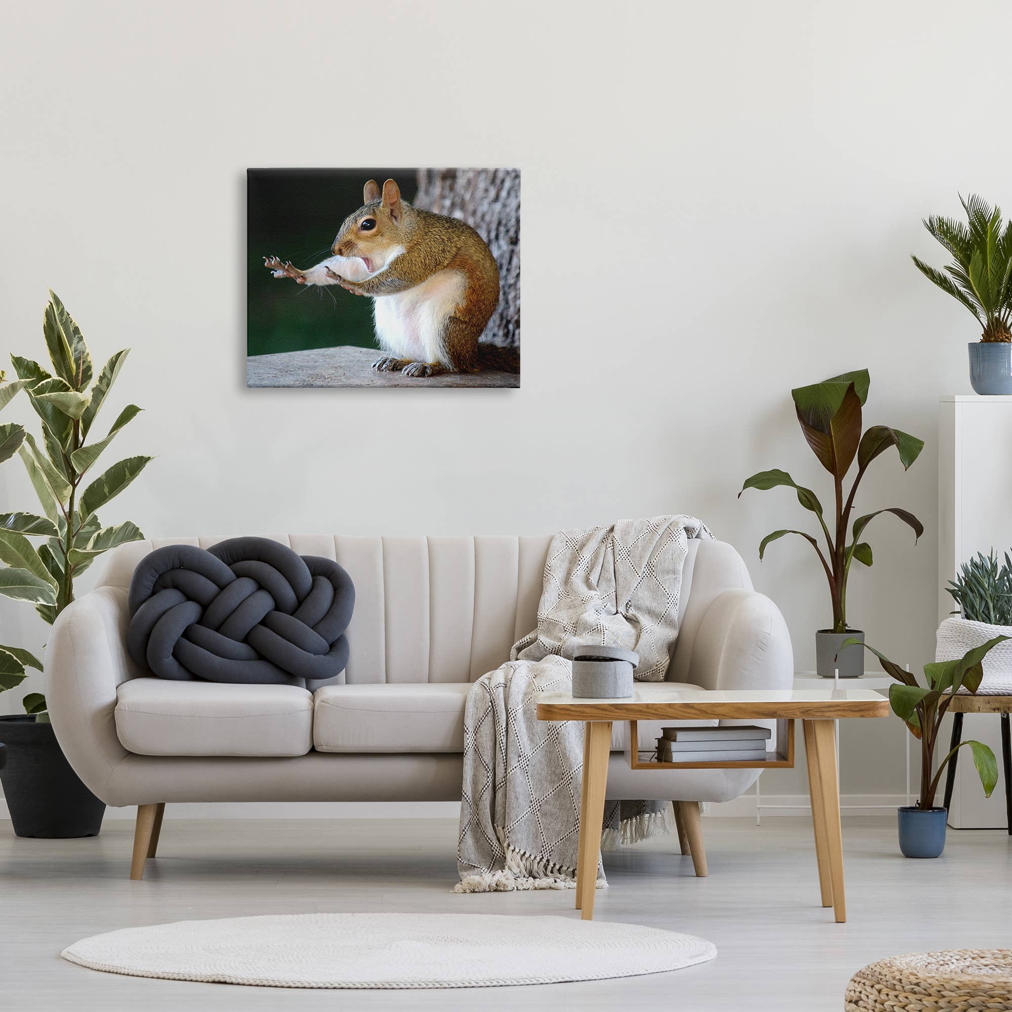 Stupell Industries – wholesale Art print – Funny Shocked Pose Squirrel Canvas Art4