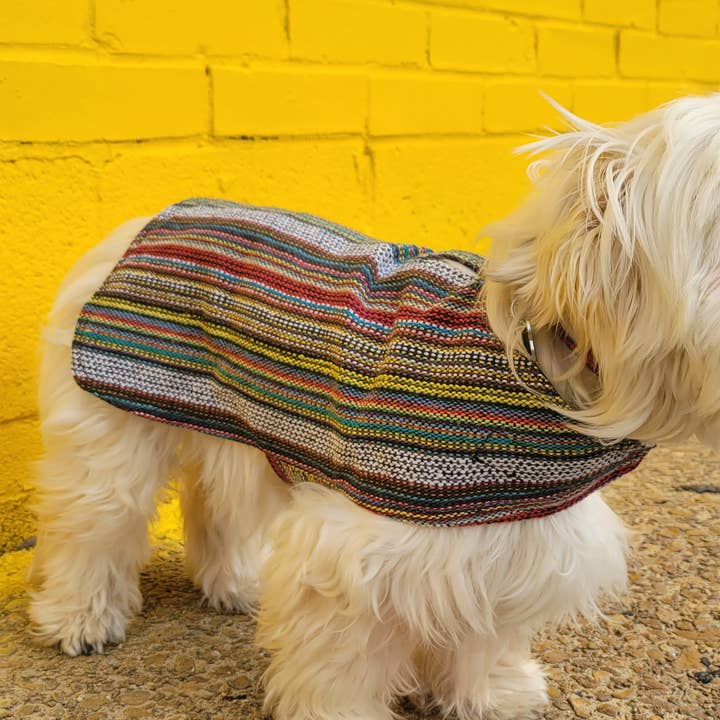 Poncho per cani 100% tessuto a mano - Bohemian Multicolor per la vendita all'ingrosso da parte di Walking Palm