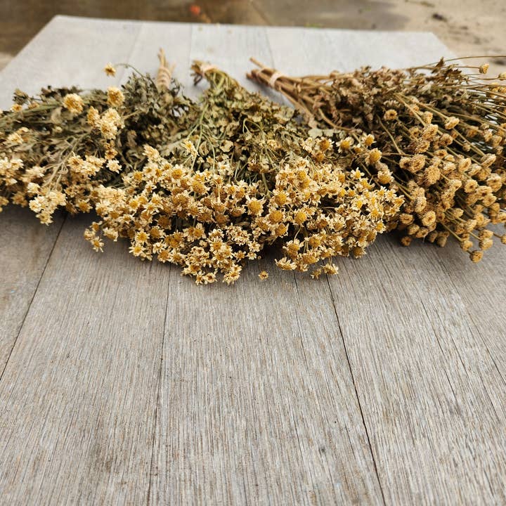 Alissas Flower Farm - Wholesale Dried/Pressed Flowers - Dried Feverfew, aka Chamomile