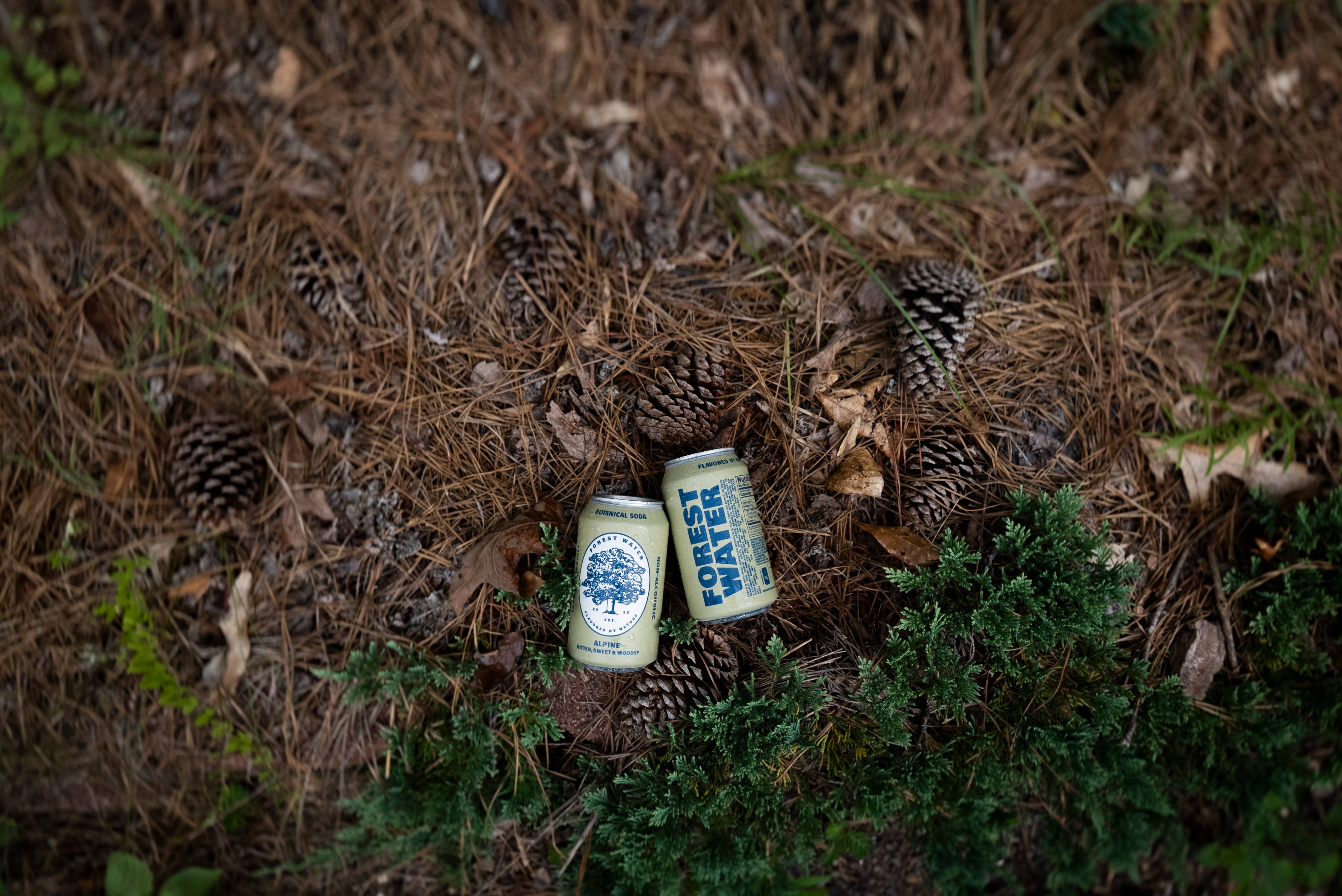 Walker Brothers - Wholesale Non-Alcoholic Aperitif/Mocktail - Alpine Forest Water | Non-Alc Botanical Soda5