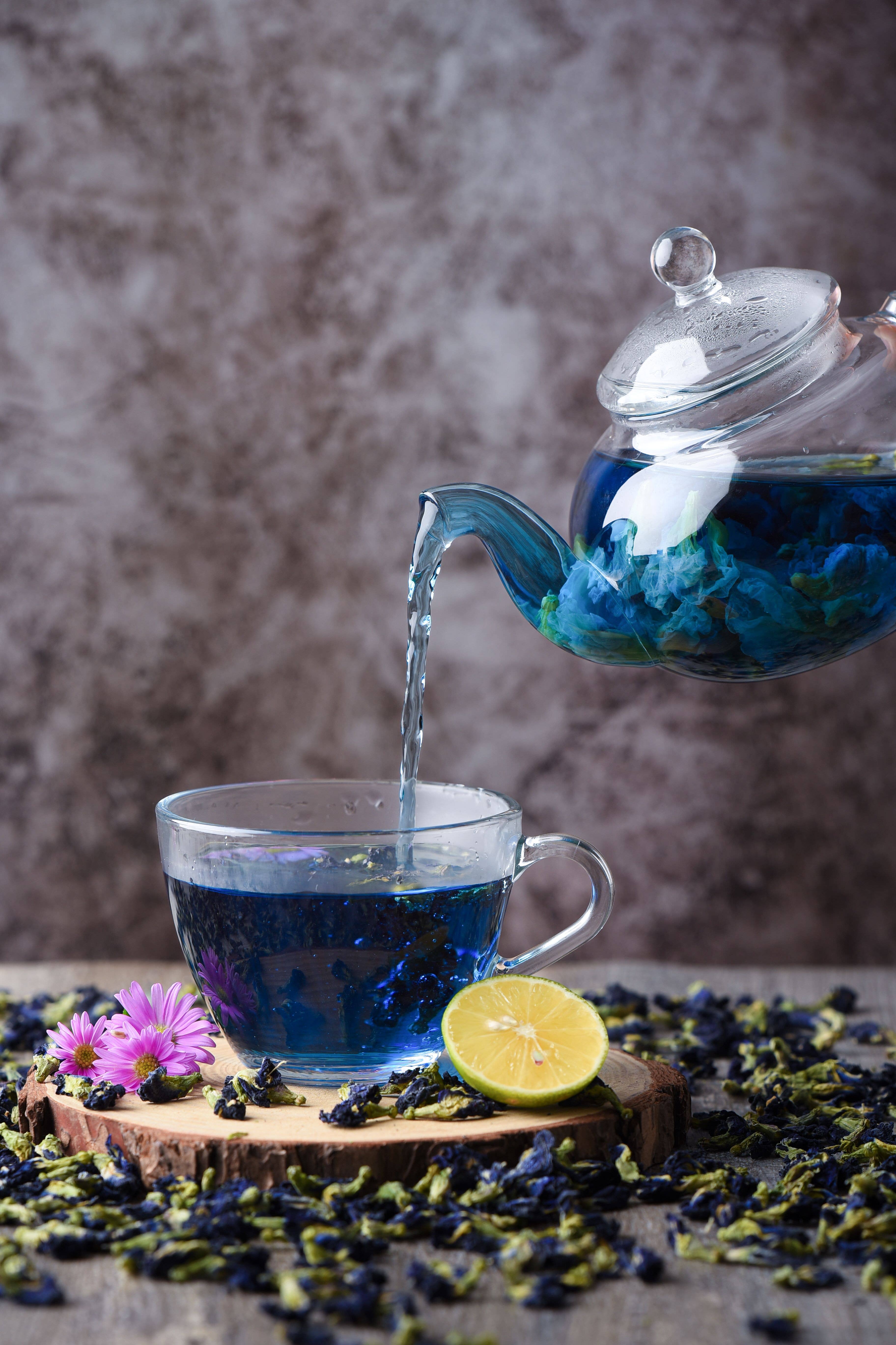 Terralux LLC - Wholesale Loose Tea - Butterfly Pea Flower Tea5