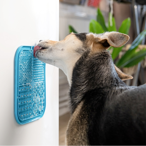 BoneItUp - Wholesale Pet Food Mat - Dog - BoneItUp® Lick Mat (Blue)2