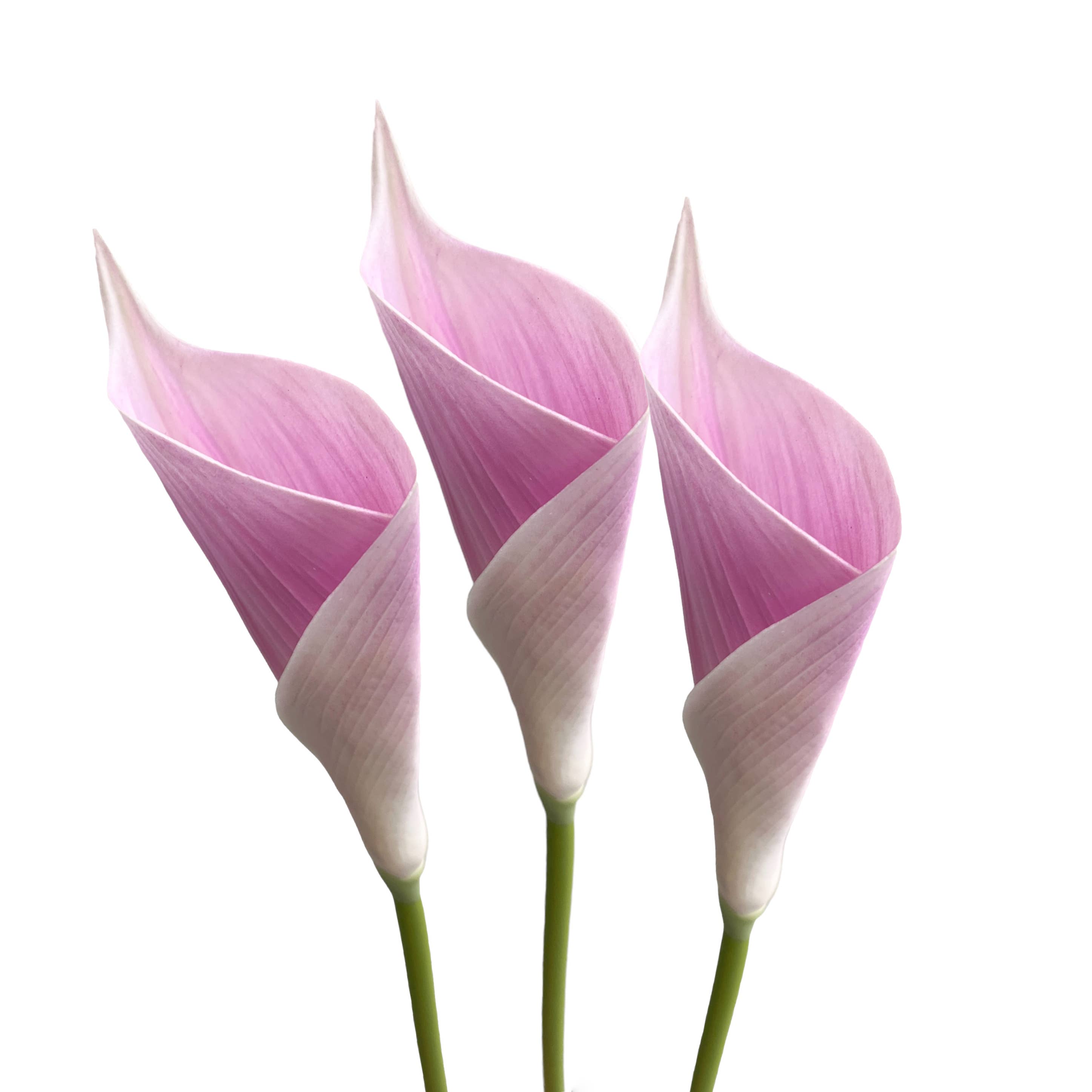 Sun Decorer - Vente Fleurs artificielles - Tige de fleur de lys calla artificielle de 25 pouces de haut (ensemble de 3)5