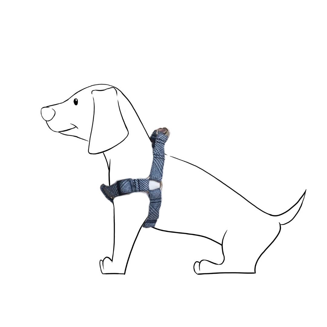 Izala Dog - Wholesale Pet Harness - Dog - Dog Harness - Cinta Model “Gales”