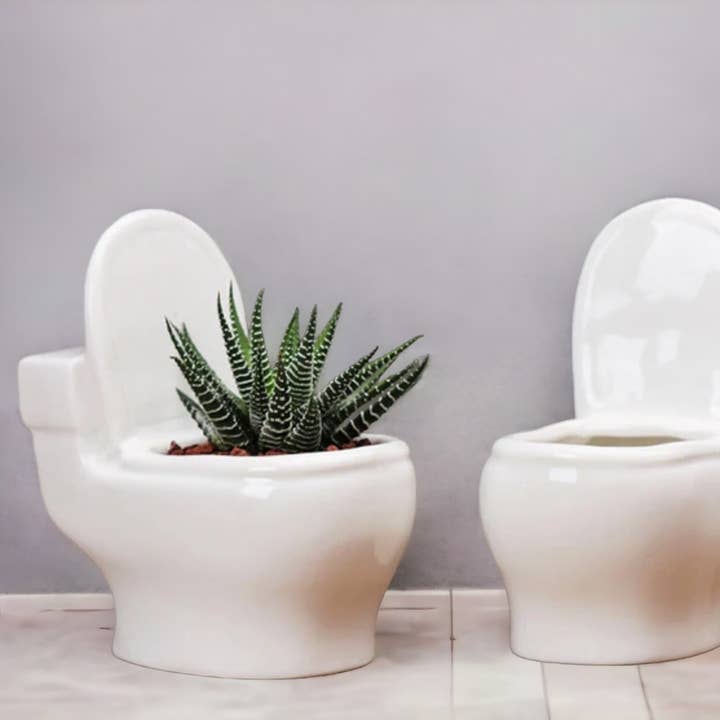 huemabe - Wholesale Plant Pot - Ceramic Creative Toilet Shape Flower Pot