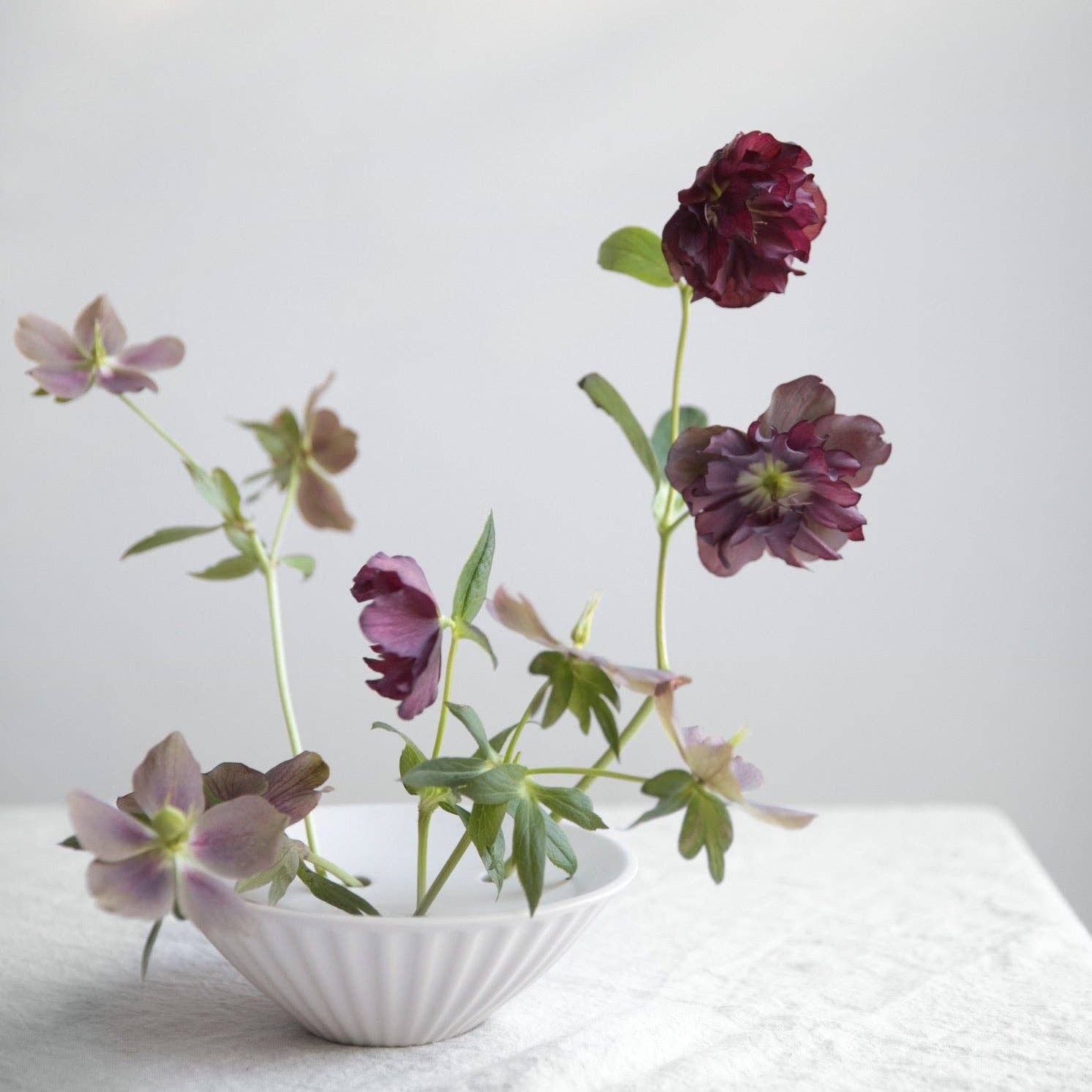 The Floral Society - Wholesale Vase - Ceramic Pleated Flower Frog Vase3