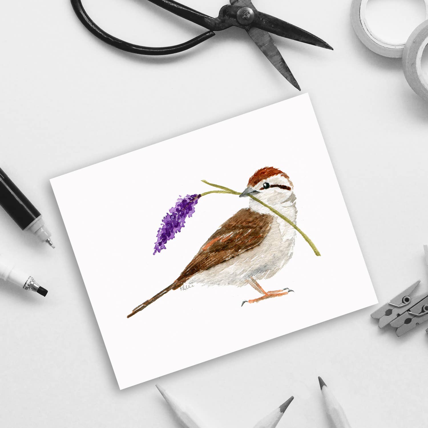 Kelli McNichols Art - Vente Carte de vœux classique - Moineau chipping2