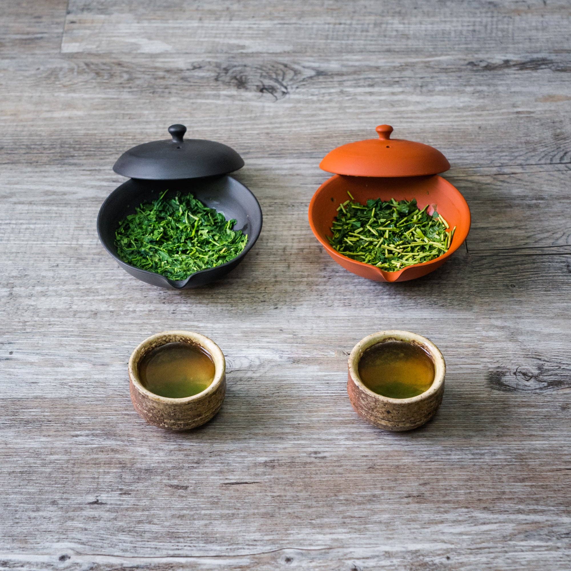 Tezumi - Wholesale Tea Pot - Japanese Shiboridashi - 玉光 Gyokko Kiln - Black Kokudei Tokoname-yaki Teapot - 30-50ml10