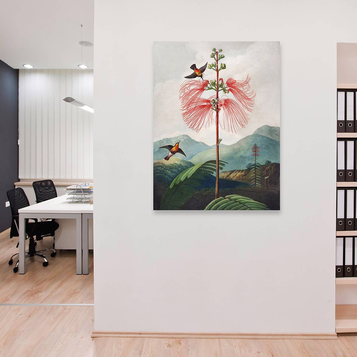 Selected Artworks Italia - Wholesale Art Print - Botanical painting: Robert John Thornton, Sensitive Plant2