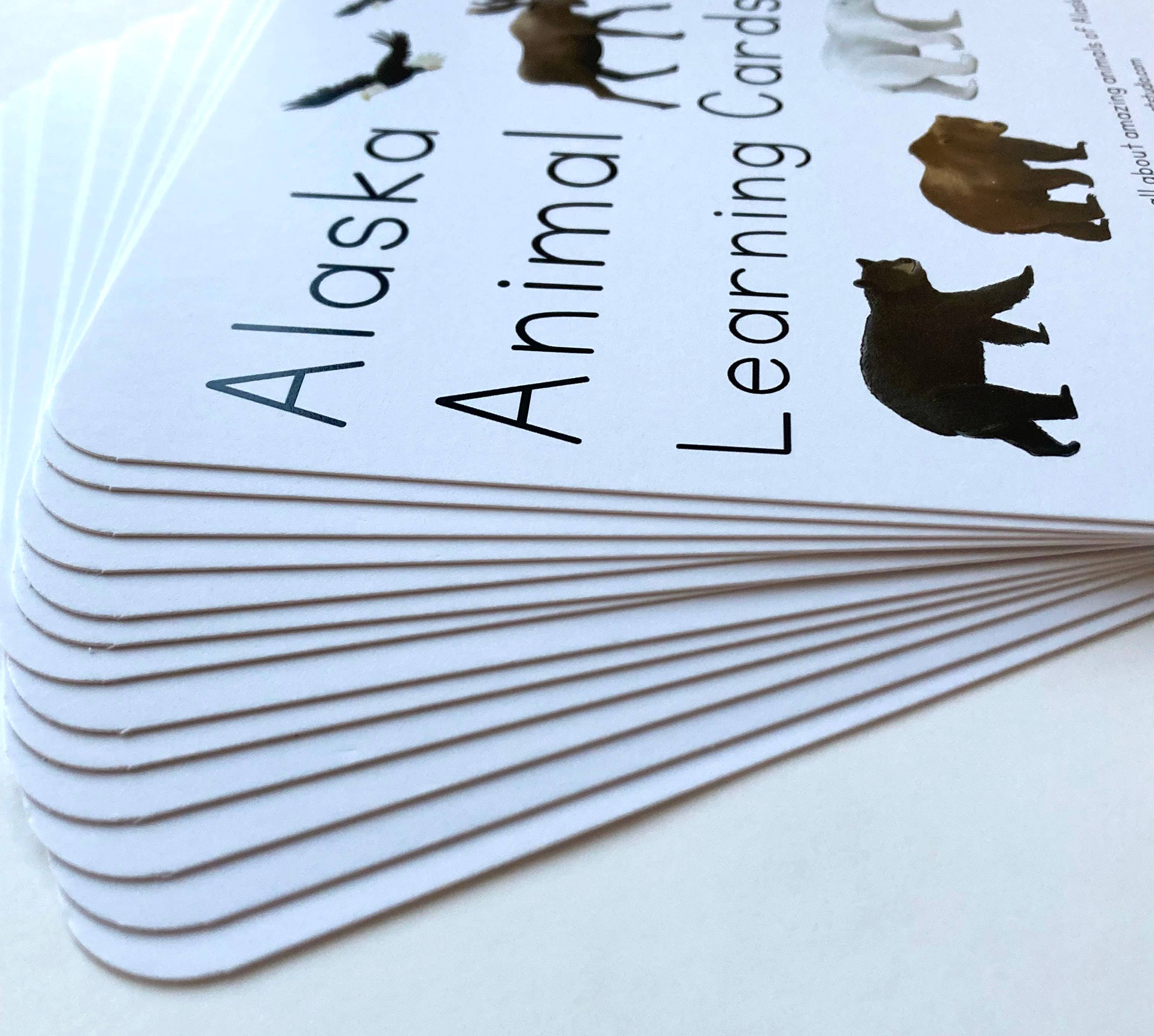 Tiny Nest Studio - Vendita all'ingrosso Carte didattiche - Bambini e neonati - Carte didattiche sugli animali dell'Alaska6