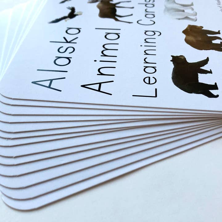 Tiny Nest Studio - Vendita all'ingrosso Carte didattiche - Bambini e neonati - Carte didattiche sugli animali dell'Alaska6