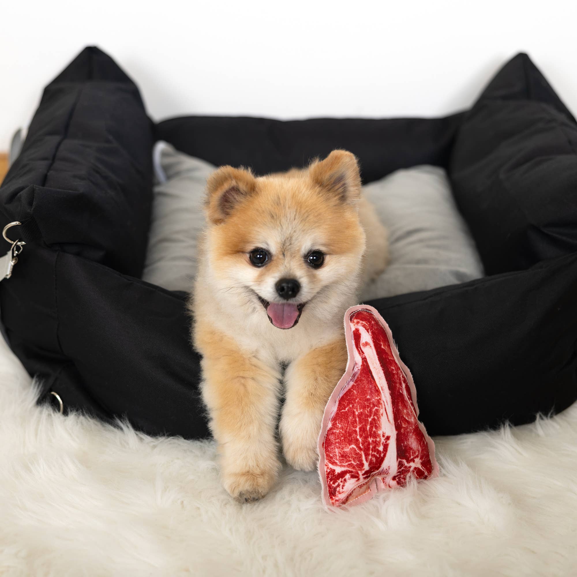 Pavilion – wholesale Pet chew toy – Dog – Steak - 7" Canvas Dog 1