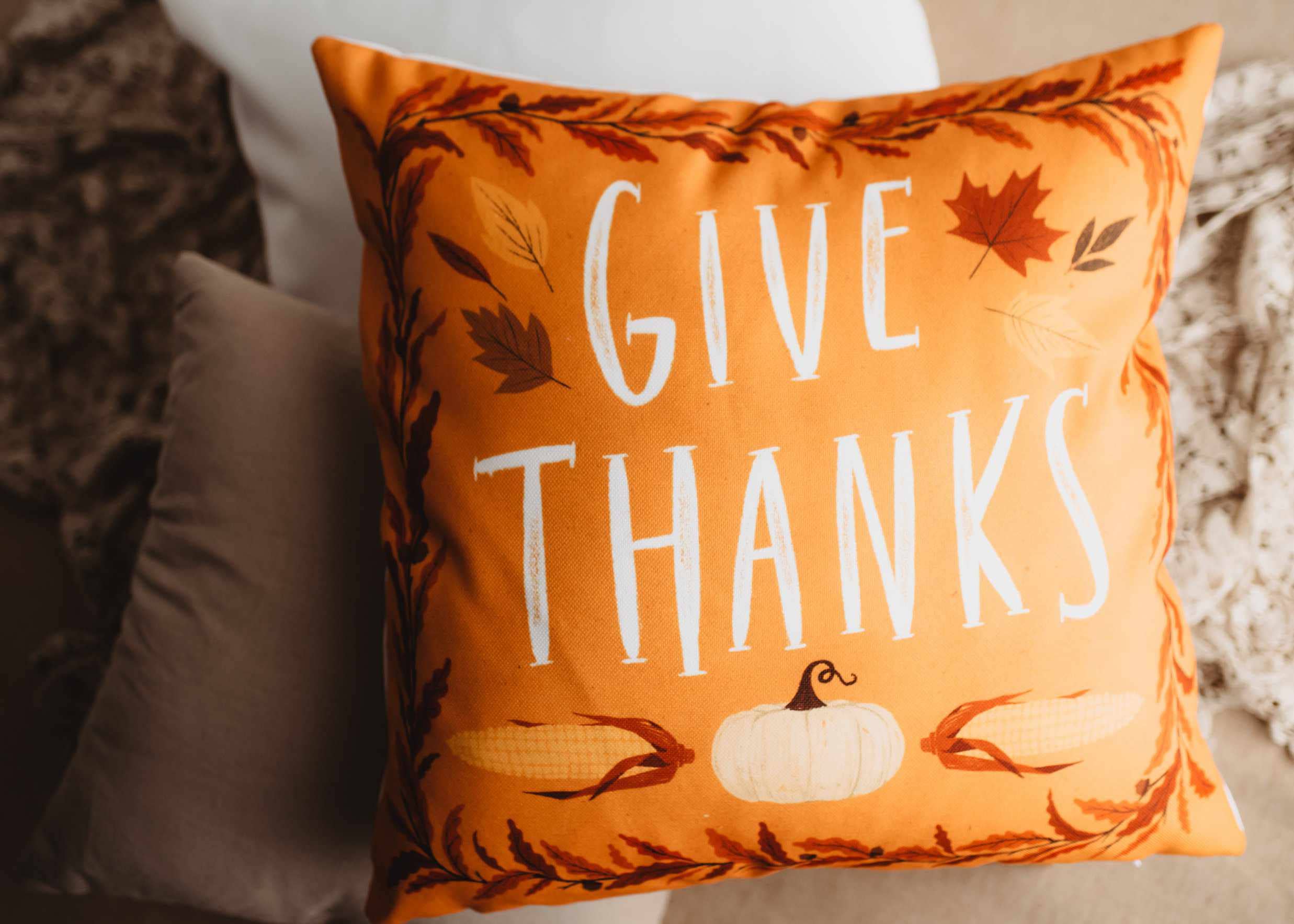 UniikPillows - Vente Housse de coussin - Housse d'oreiller Primitive Give Thanks | Décoration de Thanksgiving | Oreillers de ferme | Décoration de campagne | Coussins d'automne | Coussin mignon | Cadeau7