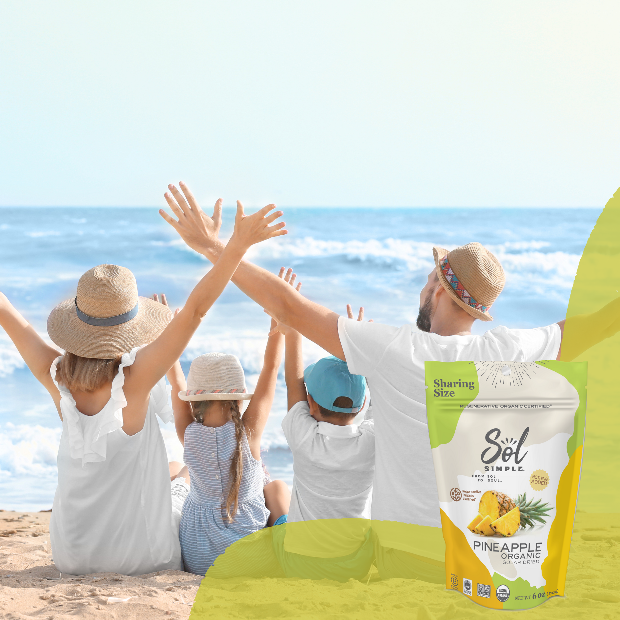 Sol Simple - Venta al por mayor Fruta deshidratada - Piña secada solar con certificación orgánica regenerativa - 3 oz6