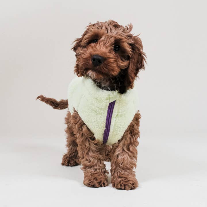 Barc London – colete - Cão por atacado – Colete Verde Lima em Sherpa para Cães | Fleece Aconchegante1