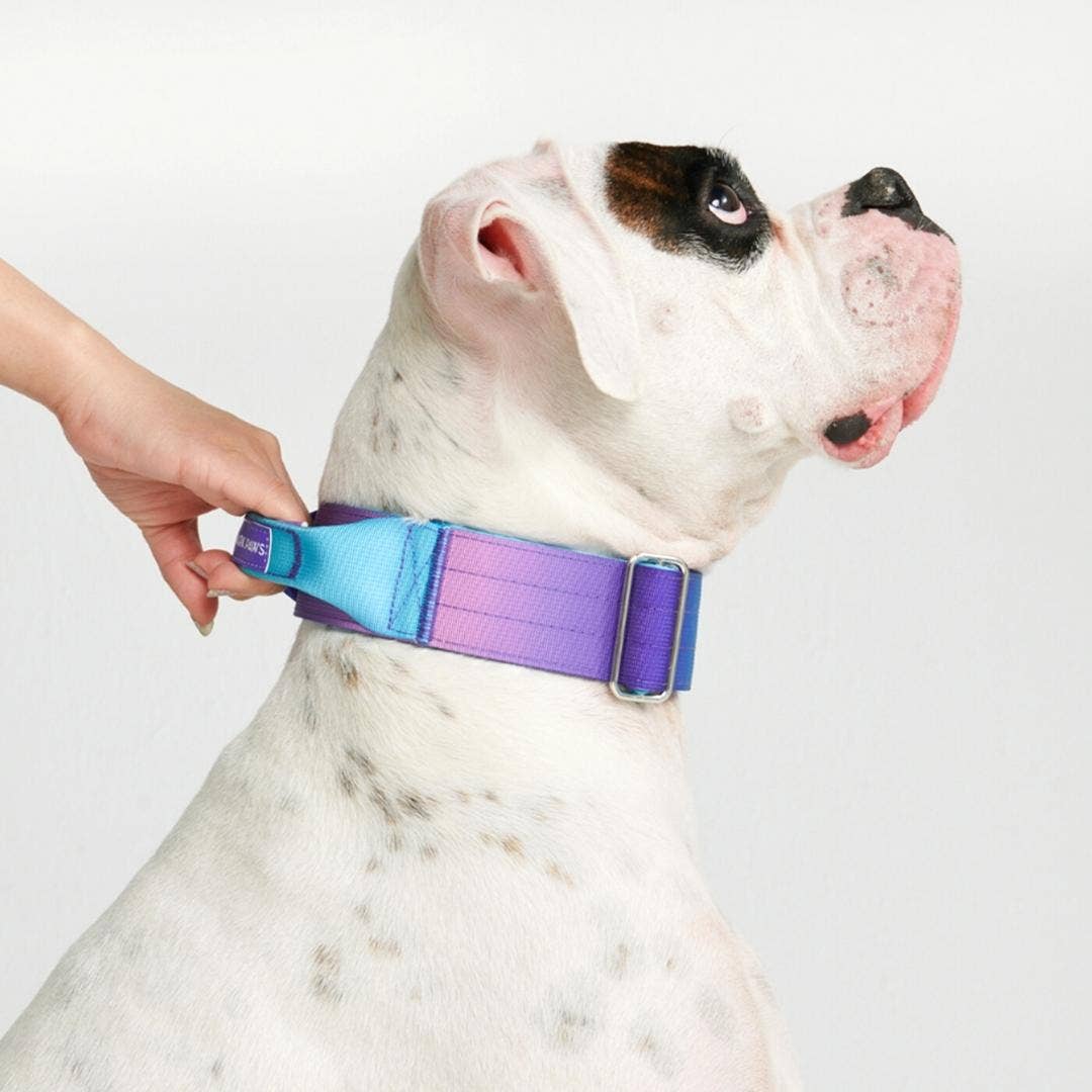 Spark Paws - Vendita all'ingrosso Collare - Cani - Collare tattico per cani retrò anni '90 (5 cm)4