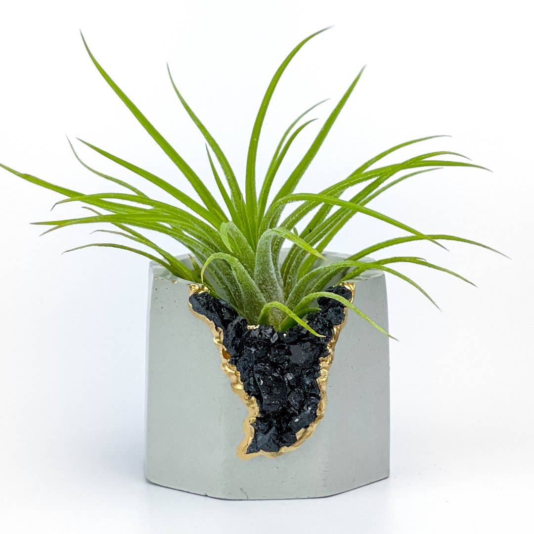 Planters Made in the USA - Venta al por mayor Macetas - Maceta de geoda de turmalina negra cruda, soporte para plantas de aire4