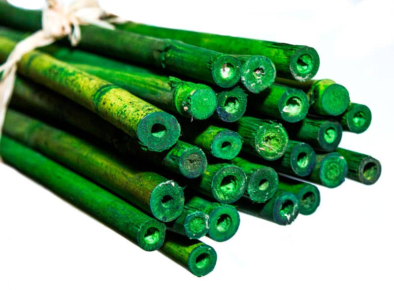 SuperMoss - Wholesale Garden/Lawn Stake - Bamboo Plant Stakes 24in 25 Pack1