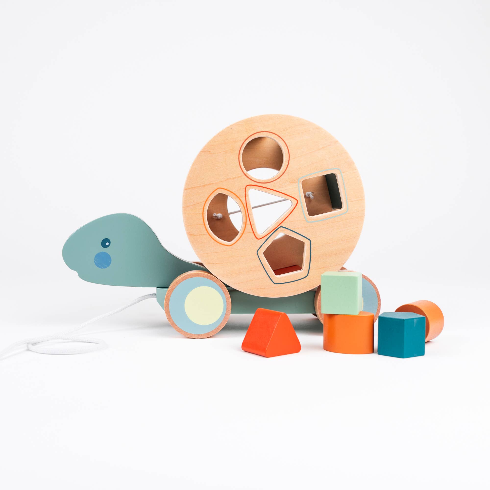 Egmont - Wholesale Wood Toy - Kids - Pull-Along Turtle6