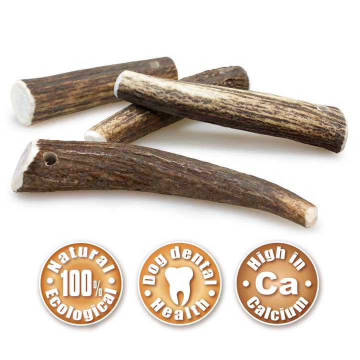 ARQUIVET, S.L.U. - Wholesale Pet Treats - Dog - Deer Antler M (40-75Gr)
