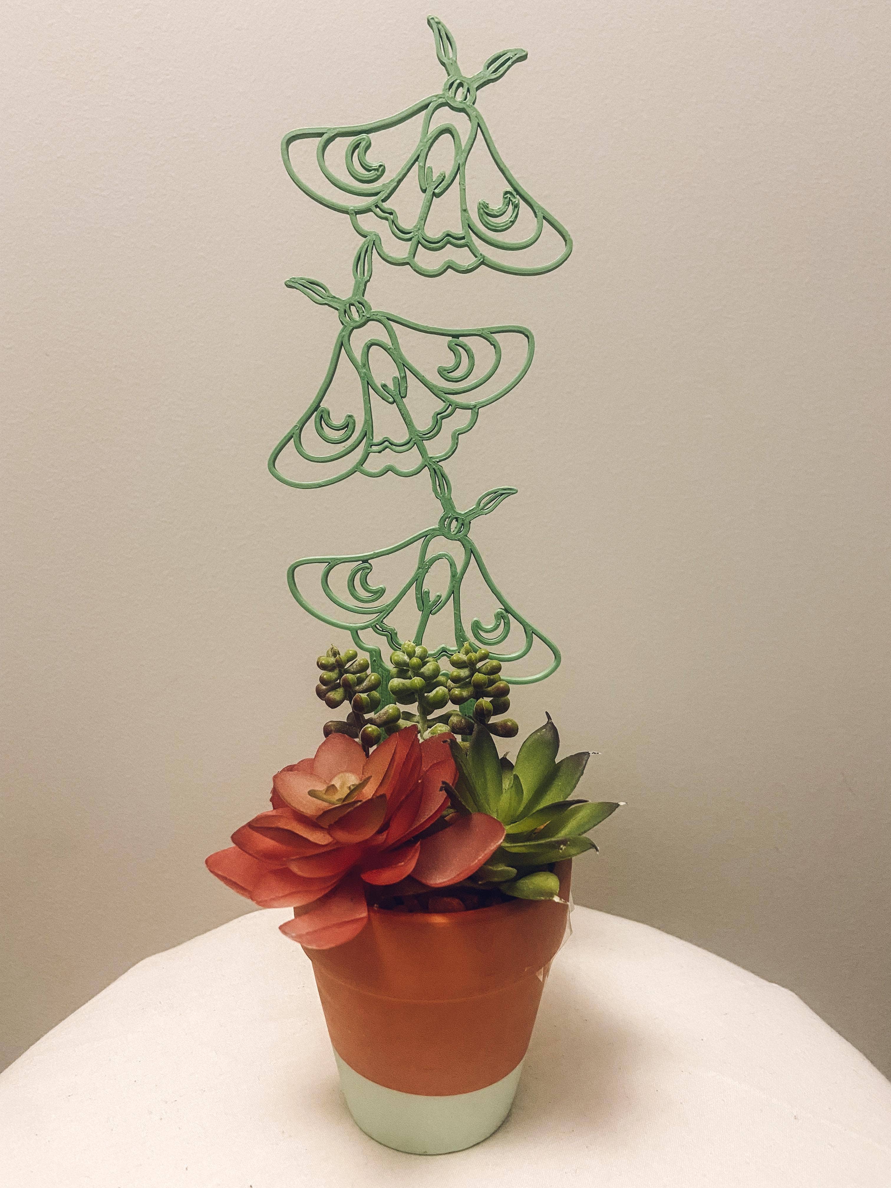 CMbeautifuldesigns - Vendita all'ingrosso Pergole - Traliccio Luna Moth1