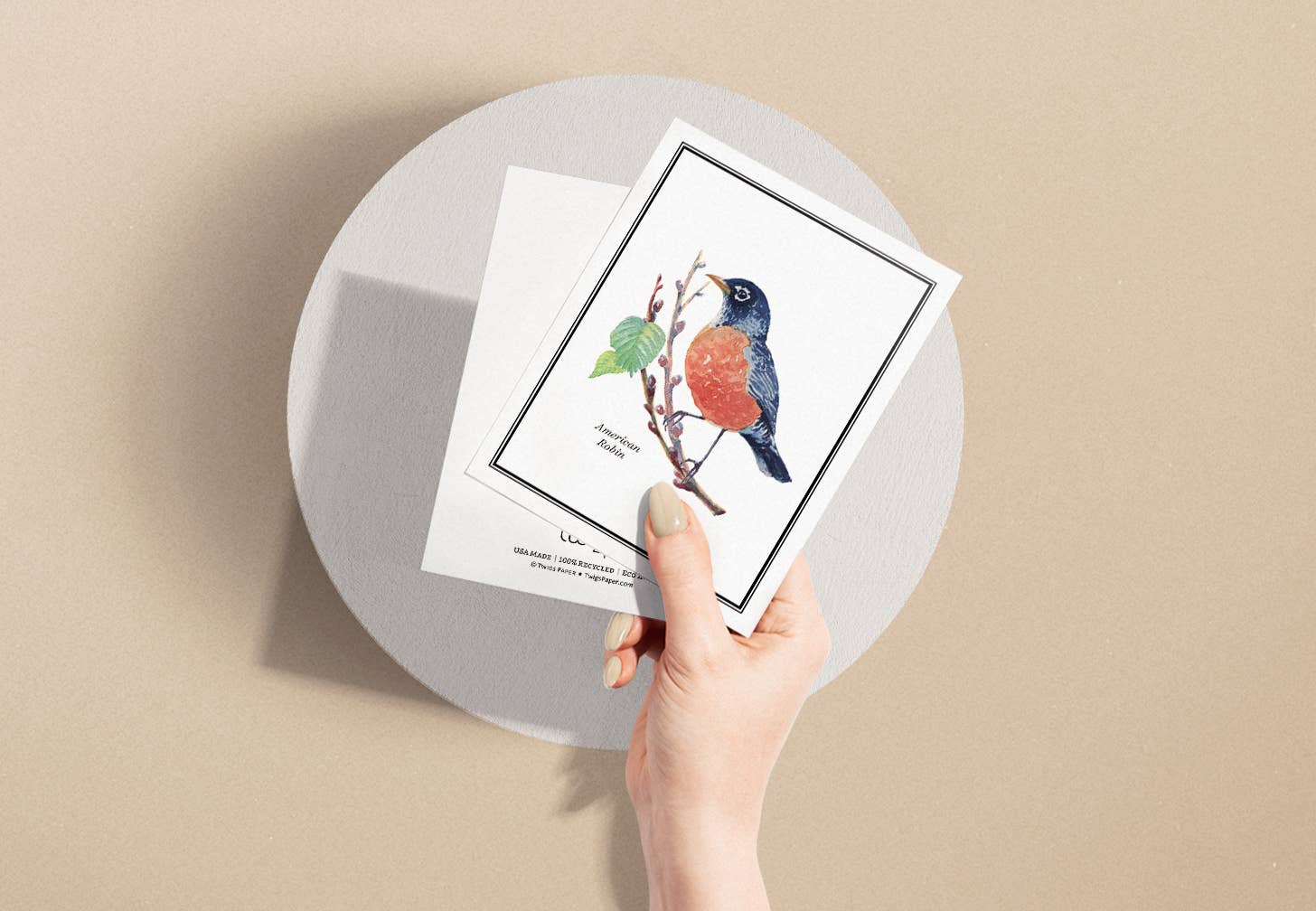 Twigs Paper - Wholesale Stationery/Notecard Set - Birds Greeting Card Set | Assorted Notecards7