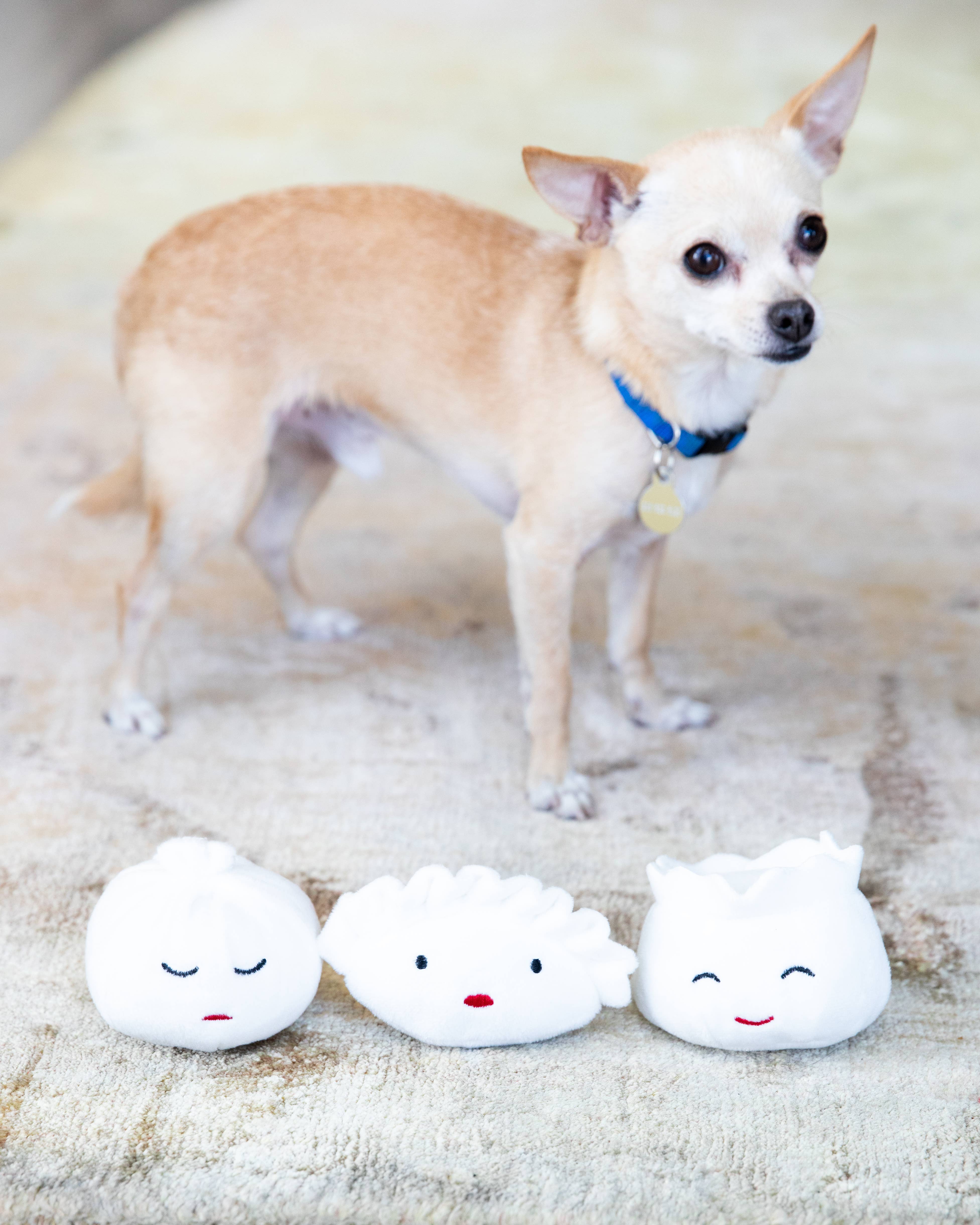 Pearhead - Wholesale Pet Plush Toy - Dog - Dim Sum Pet Toys, Set of 36