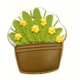 Blomkruka #1 för wholesale av The Frosted Baker