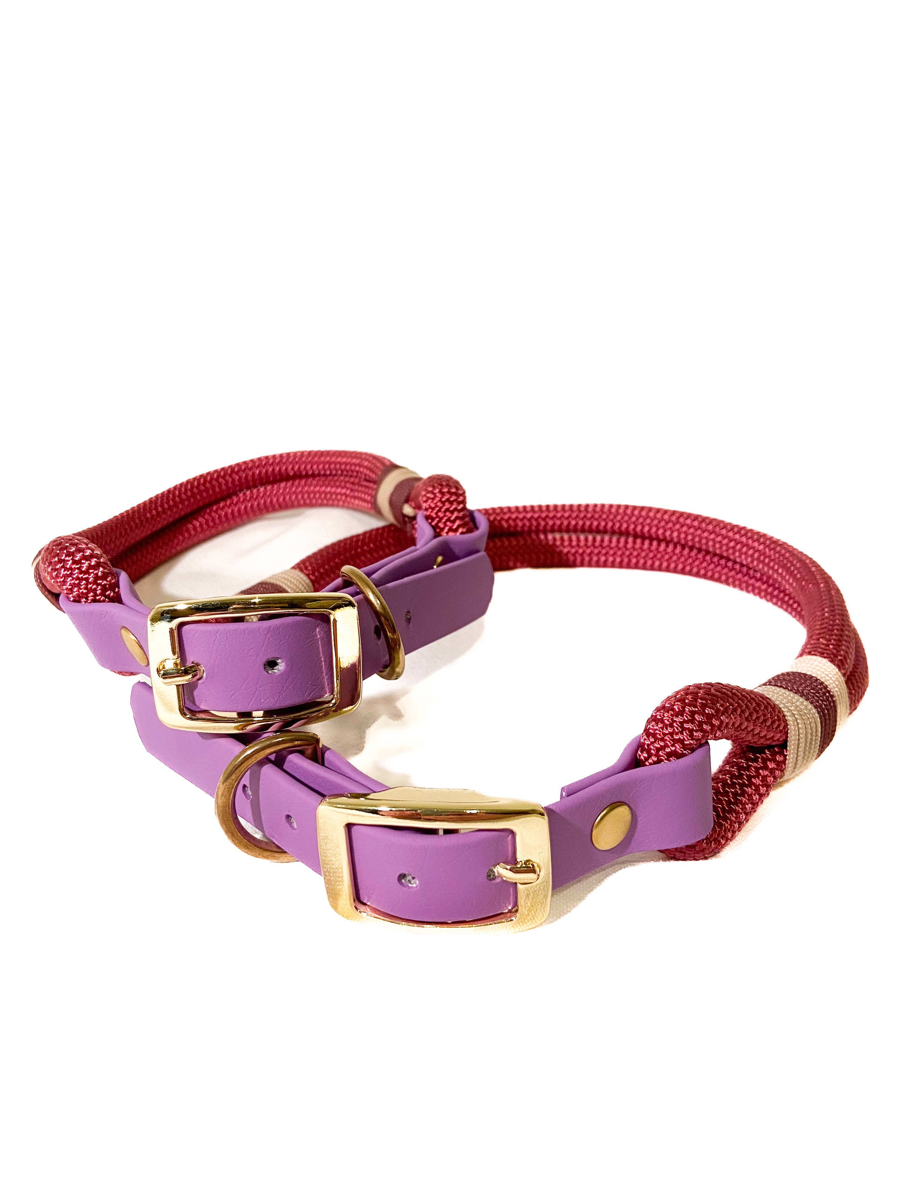 Todas as cores Coleiras e guias para cães em Biothane e paracord para venda a revendedores na Faire6