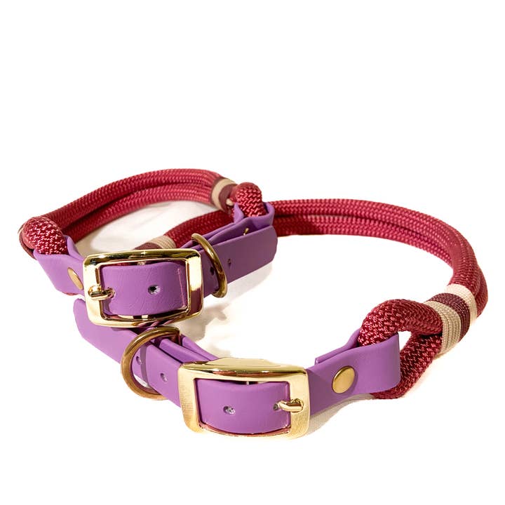 All colors Biothane and paracord dog collars and leashes for wholesale on Faire6