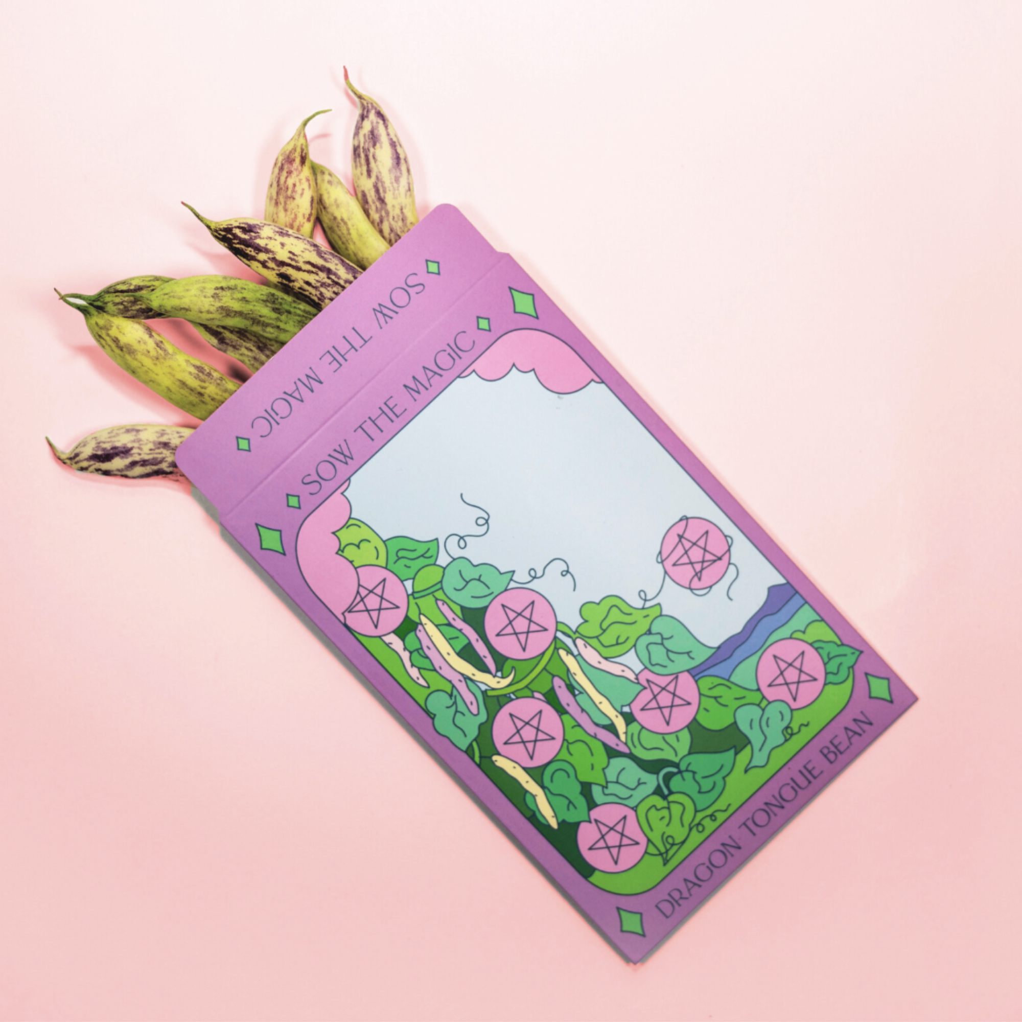 Sow the Magic - Wholesale Plant Seeds - Vegetable Bundle Seed Collection4