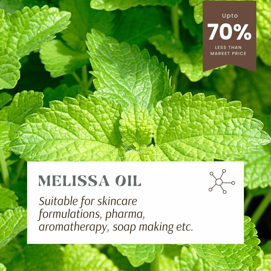 Aromachology - Vendita all'ingrosso Olio essenziale - Olio essenziale di Melissa4