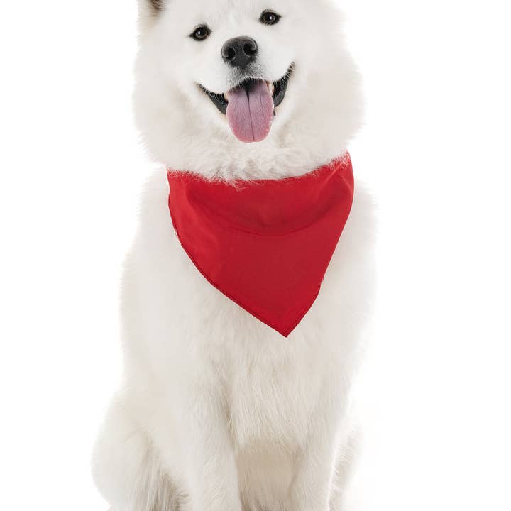 Bandanas Wholesale - Wholesale Pet Bandana - Dog - Pack of 30 XL Oversized Polyester Dog Bandanas Solid Colors