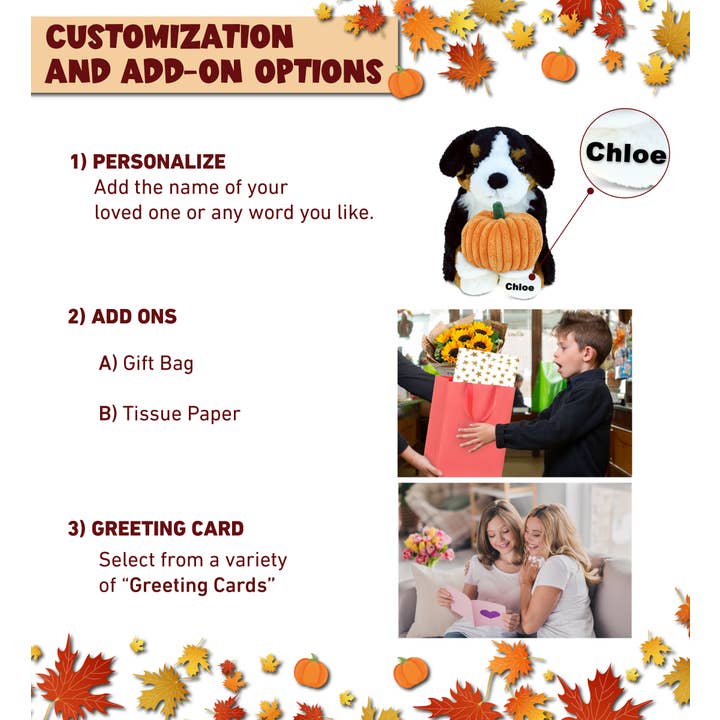 Cota Global - Wholesale Stuffed/plush toy – Kids & baby - Plush Pumpkin - Super Soft Plush - Bernese Dog1