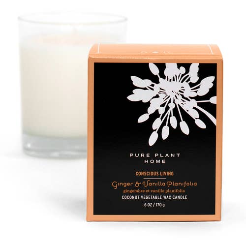 6 oz Geschenkbox Glas 6 Unzen Kerze Ingwer/Vanille Kokosnuss-Wachs w/Real Essential Oils für den Großhandel von Pure Plant Home