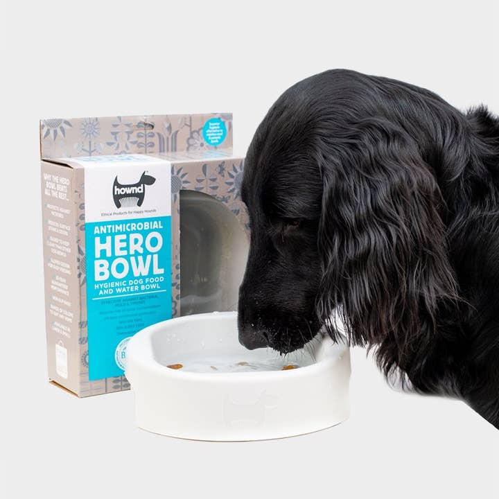 4cats Heimtierbedarf GmbH - Wholesale Pet Bowl - Cat/Dog - HOWND HERO BOWL - 2 sizes, different colours available
