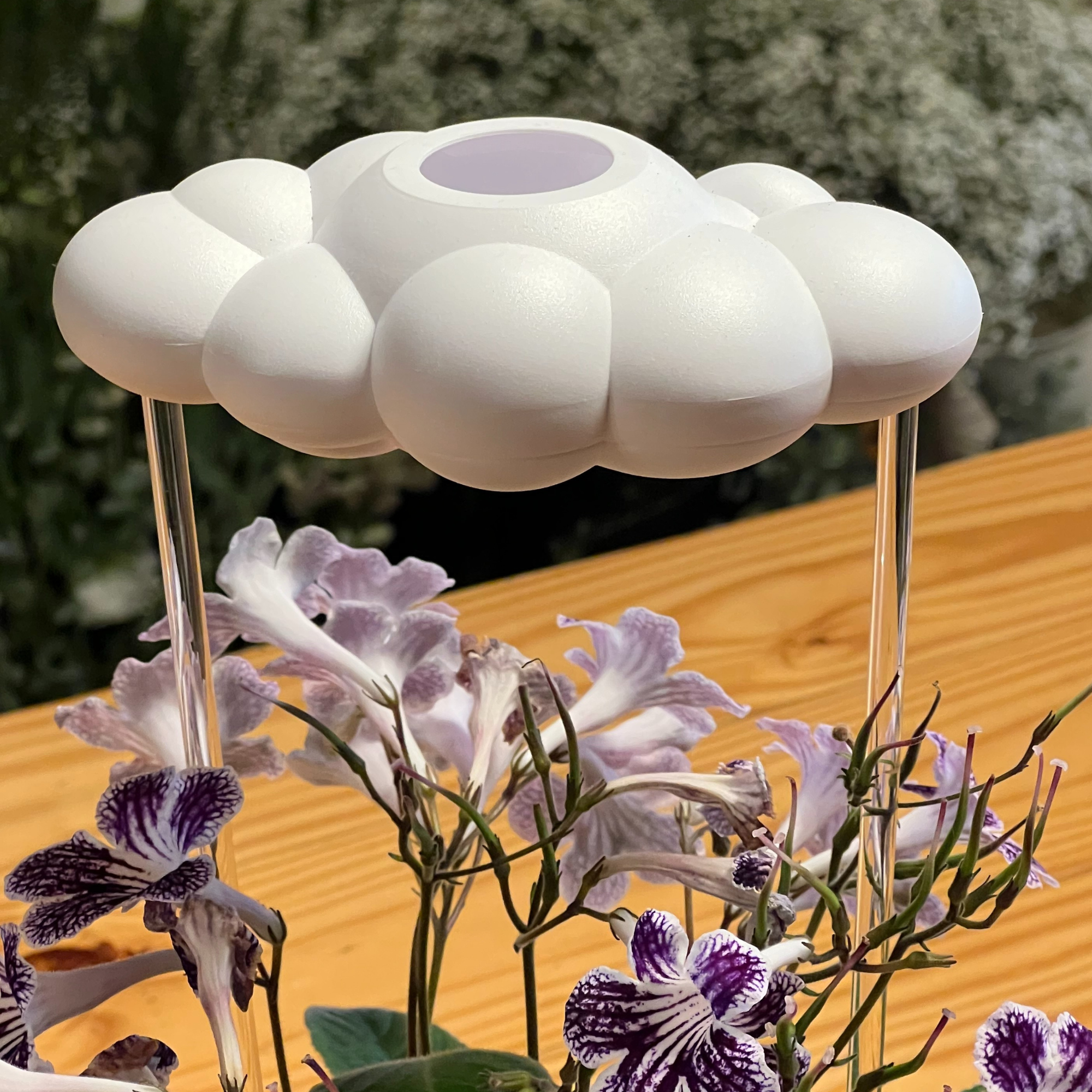 The Cloud Makers - Wholesale Watering Can - Original Dripping Rain Cloud10