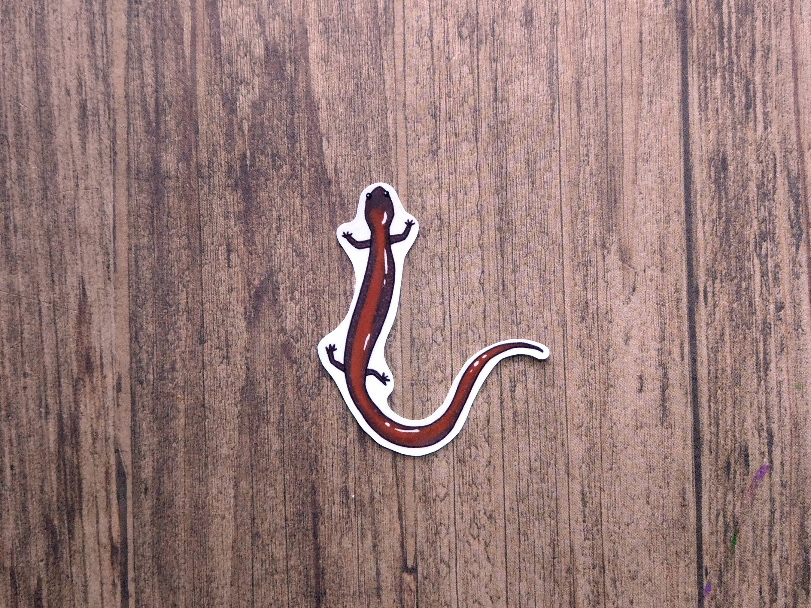 Proper Wolf - Wholesale Sticker - Red-Backed Salamander Vinyl Sticker Decal2